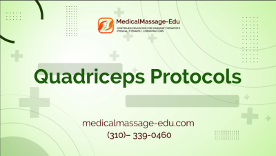 Quadriceps Protocols